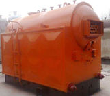 Custom Coal Fired Steam Boiler Travelling Coal Stoker Furnace Automatic Thermal Control